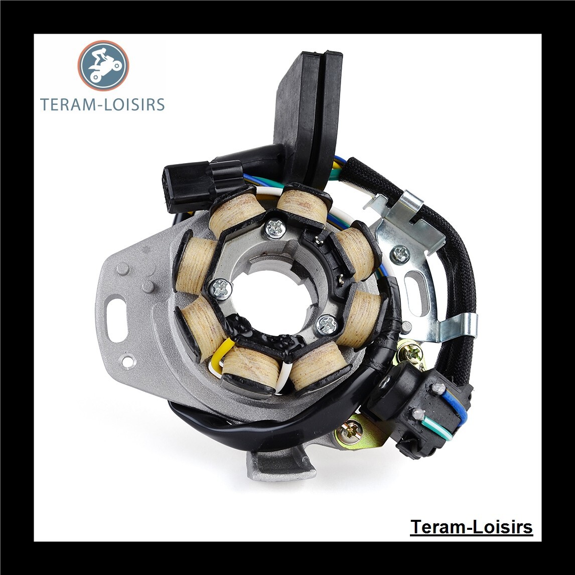 Stator pour Yamaha 31100-KZ3-L31 alternateur et bobine d'allumage pour moto 2 temps