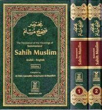 Summarized Sahih Muslim - Arabic-English (2 Vol. Set)