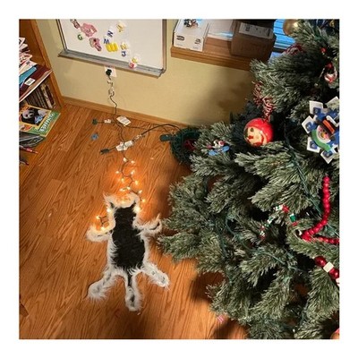 National Lampoon Cousin Eddie Griswold Fans Rug - Fried Cat Decorative Fur Tr...