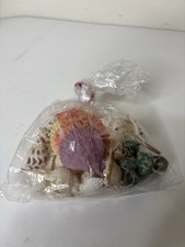 Assorted Natural Seashells Numerous Sea Shells for DIY Crafts Beach Decor