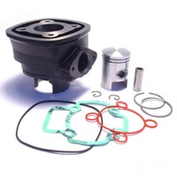 Zylindersatz Standard Grauguss FüR Derbi GP1 50 LC Bj. 2003-2004