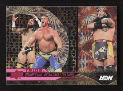Brian Cage / Bishop Kaun / Toa Liona 2025 Upper Deck AEW Pink Pyro /79 #79