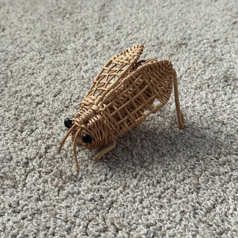 Vtg Wicker Bug Insect Fly Boho Woven Sculpture Bug Decor Cottagecore MCM Cricket