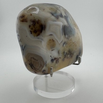 4.7'' Extremely Unique Dendritic Agate Quartz