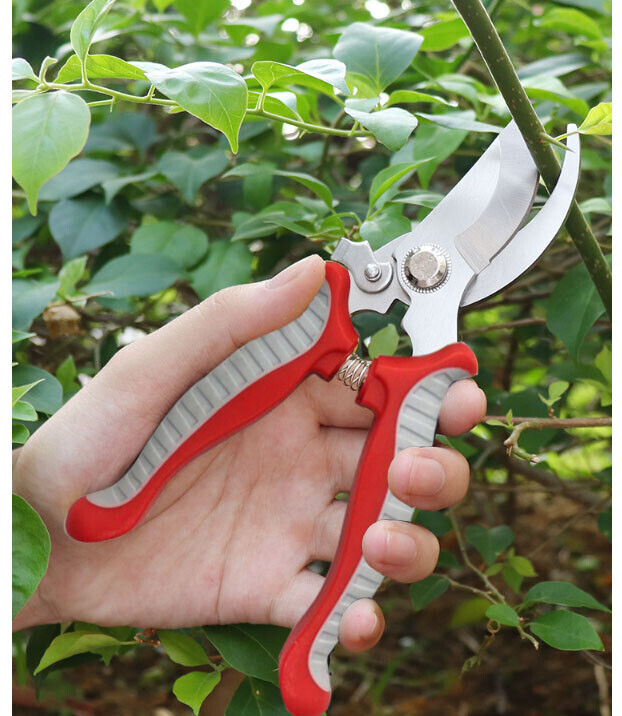Pro Pruning Shears Garden Sale Special Price Grafting Knife Fruit Tree Luxury Kit Tool Set