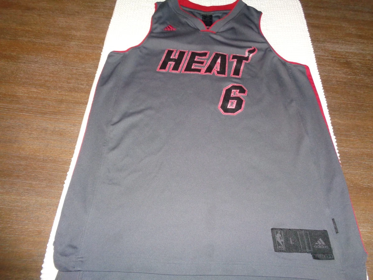 Lebron james deals heat jersey ebay