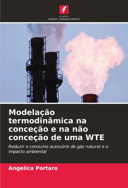 ModelaçãO TermodinâMica Na ConceçãO E Na NãO ConceçãO De Uma WTE Portaro Buch-image