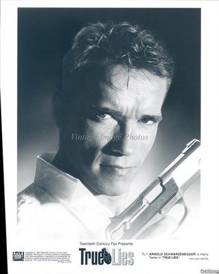 1994 True Lies Arnold Schwarzenegger Harry Tasker Film Poster Vintage Photo 8x10