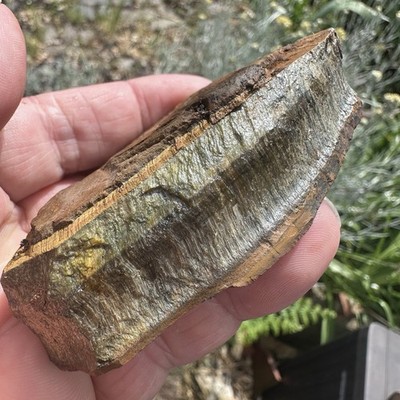 Tiger s Eye Hawk s Eye Rough Raw Crystal für Lapidar oder Display 140g