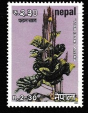 NEPAL STAMP MNH Commemorative MINT unused WM4468