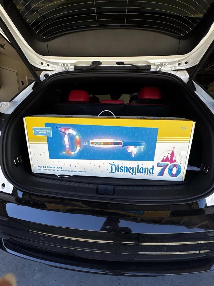 Limited Edition 1/3000 Key To Disney Collection - Image 4 of 4