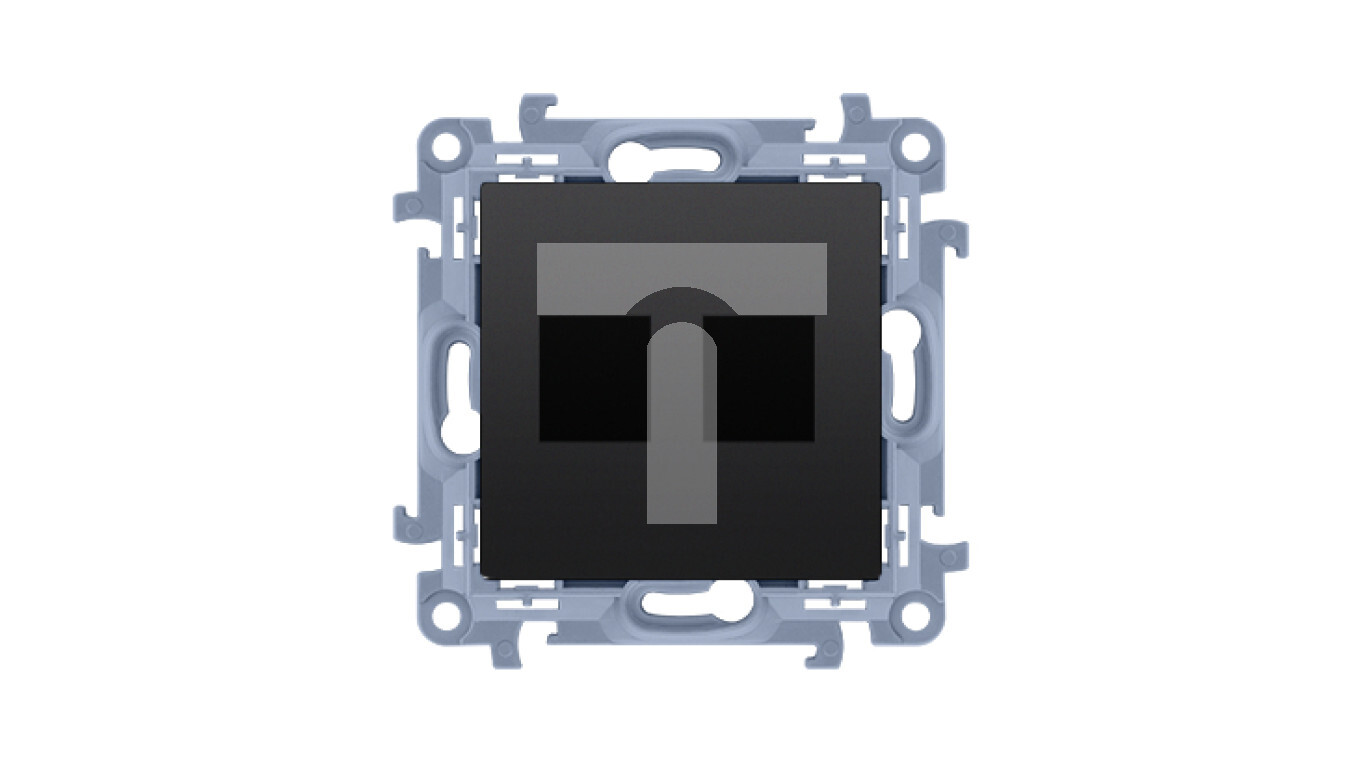 Simon 10 Cover for data communication sockets on Keystone flat double (mo /T2UK