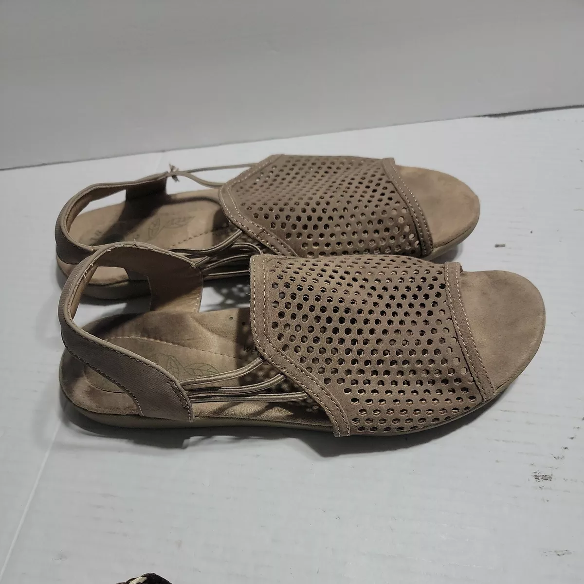 Earth origins hadley hot sale