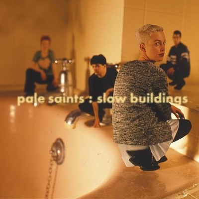 Pale Saints Slow Buildings (30Th Anniversary Re:Masters) (Vinyl)
