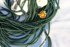 216 Beads on a Strand Glass Pearl Dyed Dark Green Round Beads/4mm