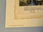 Picture 4 of 9
