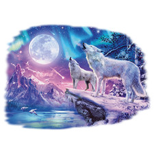 Wolves 7 Northern Lights Hooded Sweatshirt Sizes/Colors