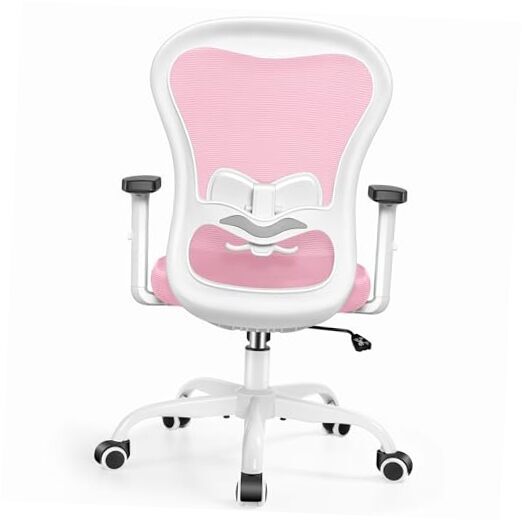 Office Chair Ergonomic Computer Desk Chair, High Back Breathable PR959 Pink