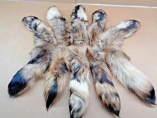 Rare #1 Quality Super Soft XL Tanned Finn coon Tail/Tanuki/Crafts/Coyote Tail