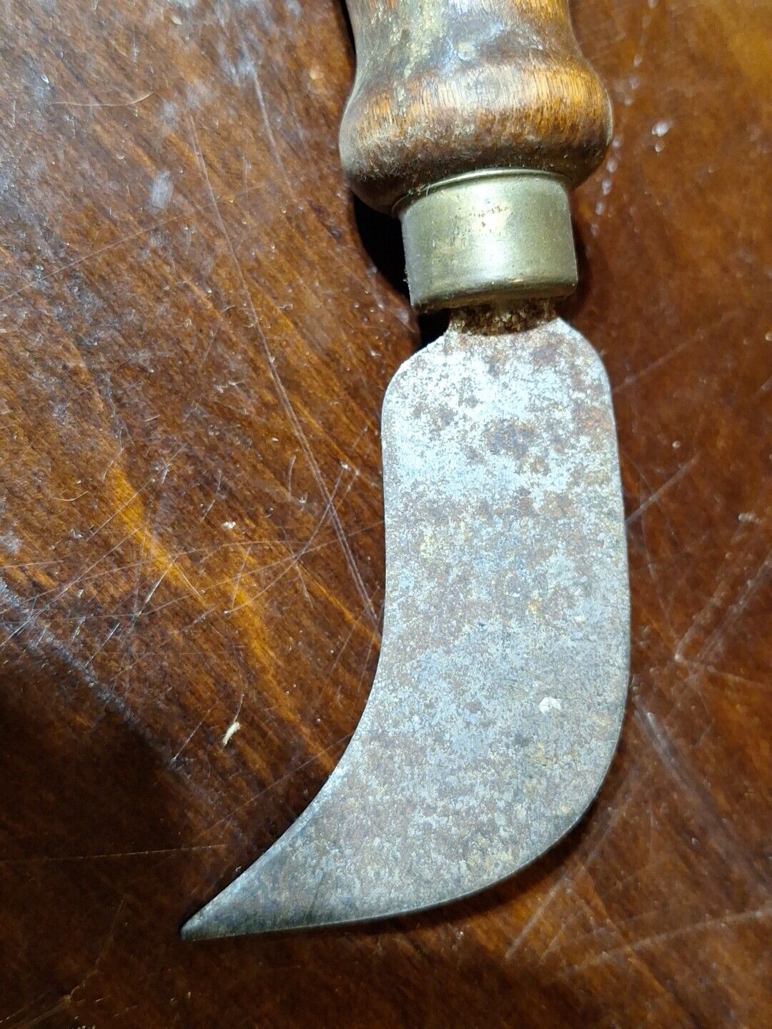 Picture 5 of 6