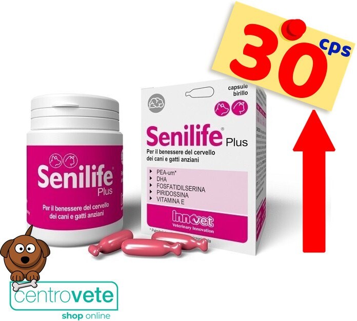 Innovet  SENILIFE PLUS  30 Capsule per CANI GATTI → Invecchiamento Cerebrale