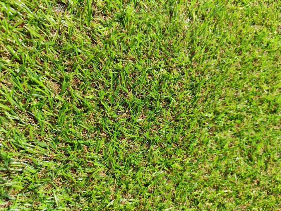 HANKLEX-rollo de césped artificial 2x20 metros 18 mm de altura - Imagen 4 de 4