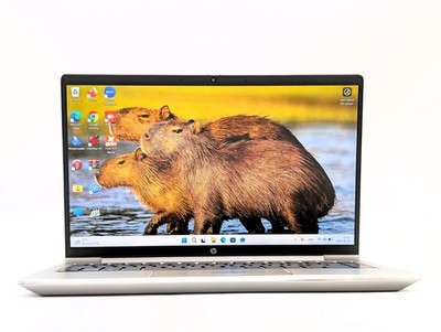 HP ProBook 445 G10 Ryzen 3 7330U 16GB 256GB SSD 14'' FHD Win11 Pro Busness Laptop