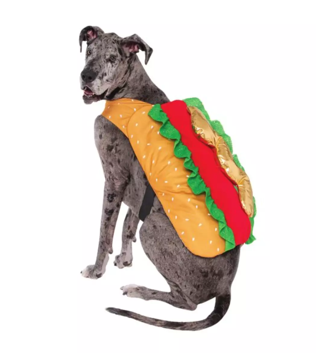 Large dog hot dog cheap costume