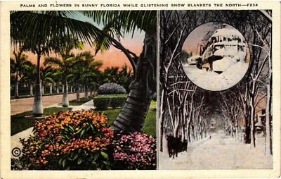 Vintage Postcard- 234. SUNNY FLORIDA SNOW NORTH. Posted 1910