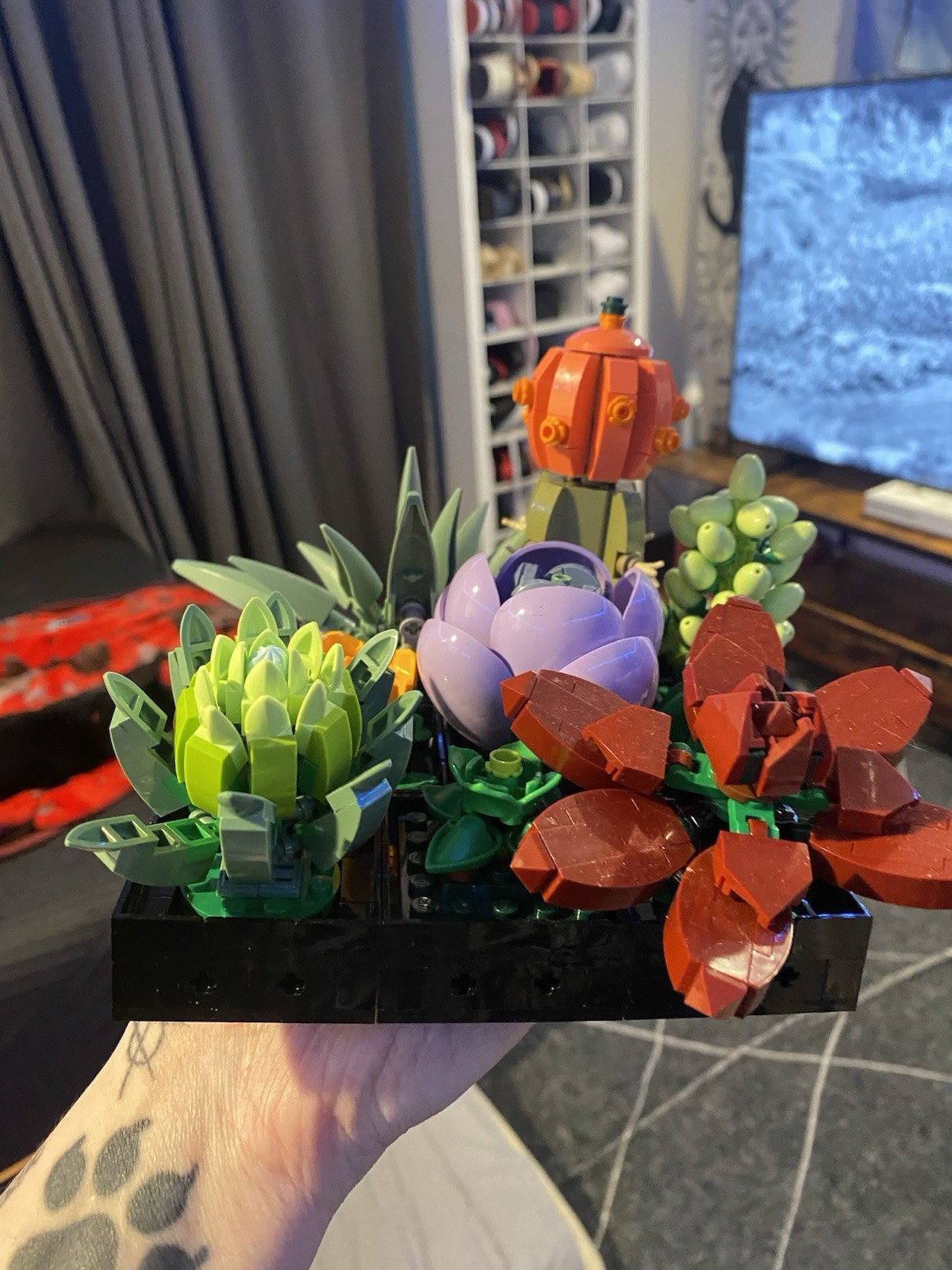 LEGO Botanicals: Succulents (10309)