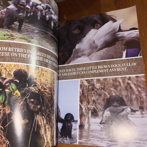 2017 Upland National The Boykin Spaniel Society Hunting Gun Dog Waterfowl Season - Imagen 5 de 7