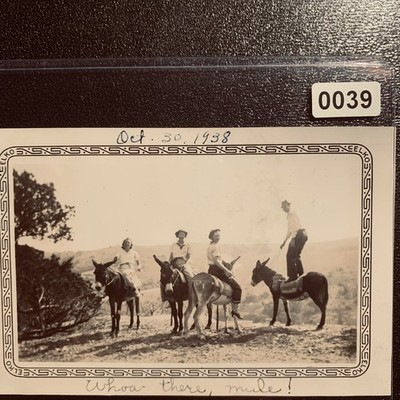 Man Standing on Mule 1938 Snapshot Photograph Rural Landscape Elko Border