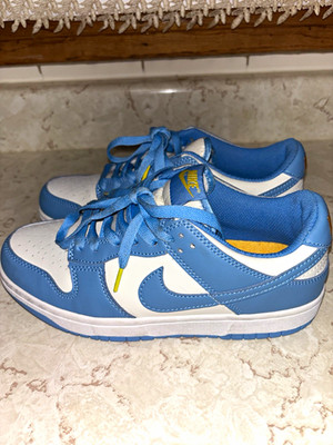 Blue Nike Dunk Low