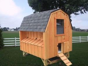 Details About Chicken Coop Pa Dutch Amish Custom Pen Poultry Shed Hen House Board And Batten