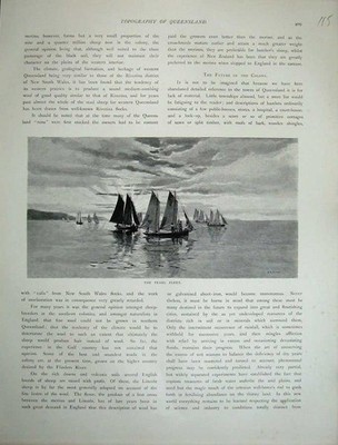 Old Antique Print 1886 View Pearl Fleet Ships Sailing Australia Sunlight 19th