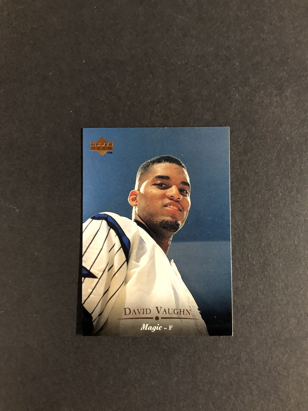 1995-96 Upper Deck - David Vaughn #313 (RC)