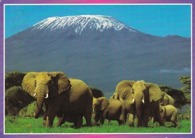Postkarte Afrikanische Superlative   Kilimandscharo & Elefanten ~ gebraucht ~ verschickt