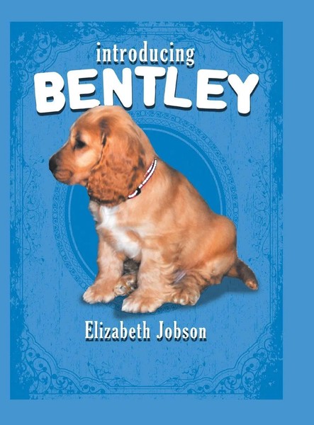 Elizabeth Jobson | Introducing Bentley | Buch | Englisch (2013) | Gebunden-image
