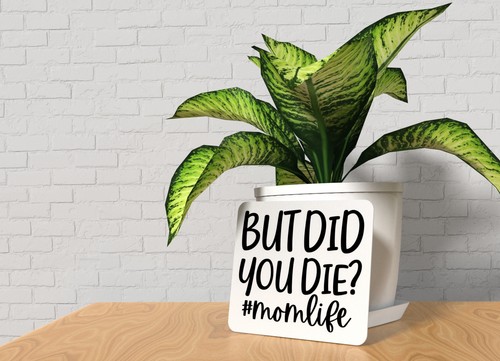 But Did You Die Momlife | Lustiges Schild für Zuhause oder Büro - Bild 3 von 4