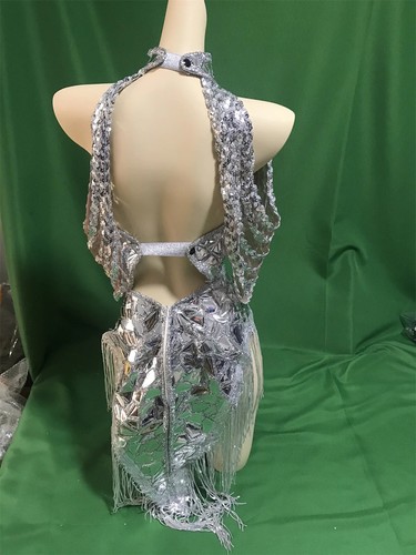 Silver Sequin Tassel Dress Dance Singer Costume Festival Drag Queen Outfit - Picture 5 of 8