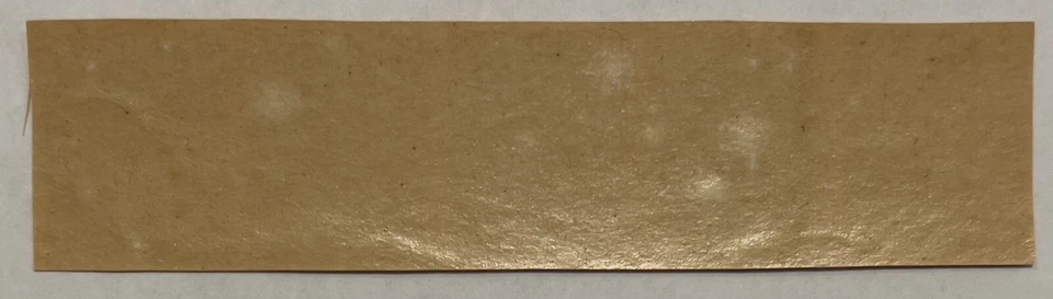 PARAGUAY 1870 COMO NUEVO MNH TIRA DE 5 SELLOS #2, ESCUDO DE ARMAS LEÓN REIMPRESIONES Foto 2 de 2