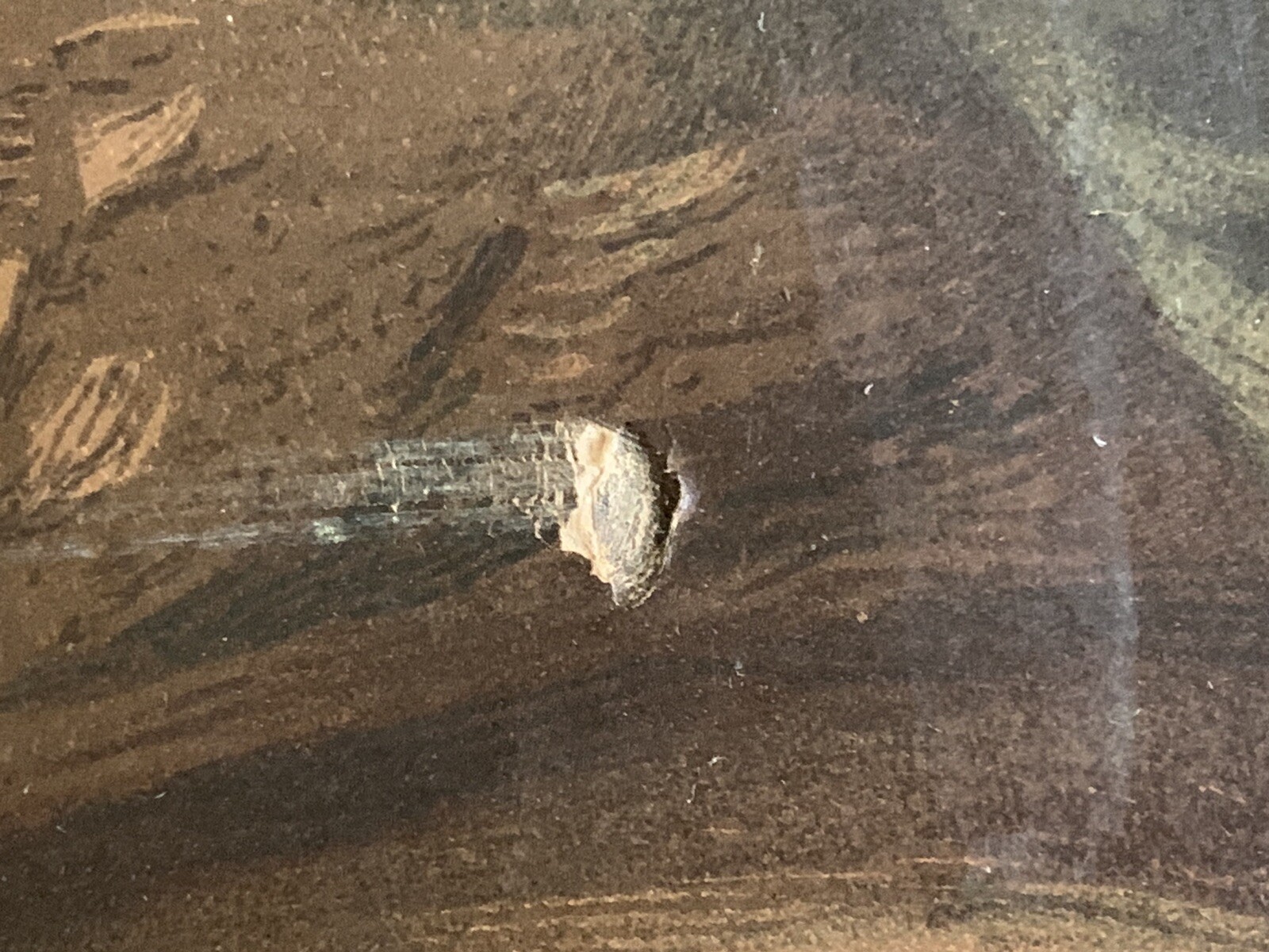 Picture 6 of 13