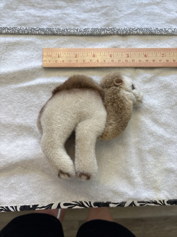2 Vintage Steiff Camel Plush Set  1453/14 & @12” Stuffed RARE @1970 Dromedary