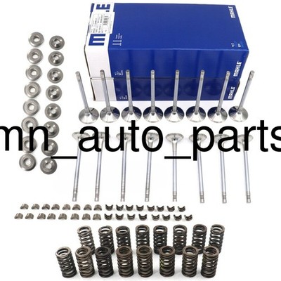 Mahle 6mm Intake Exhaust Valves Set For Audi A4 Q5 VW GLI GTI Tiguan GTI 2.0T