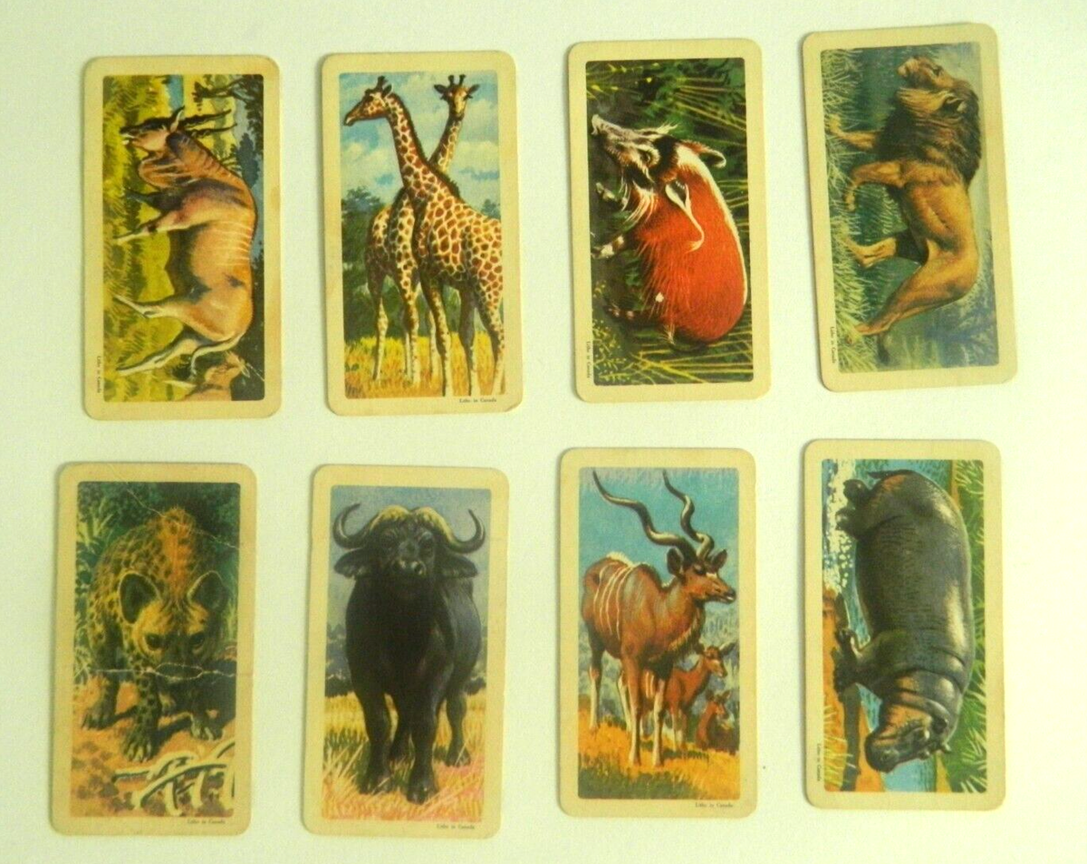 Vintage Brooke Bond Tea Cards. Series 7 set of 8. CB1S7 | eBay