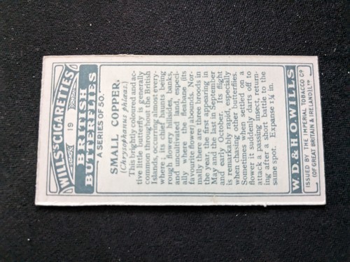 1927 Wills British Butterflies Card # 19 Small Copper (VG/EX) - Picture 2 of 3