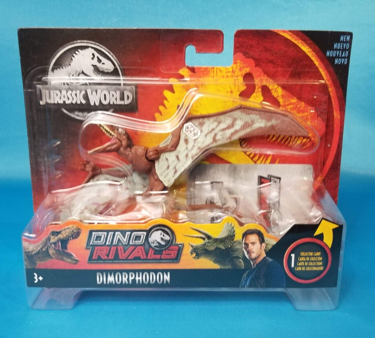 リチャードジノリ　アマデウスジャーダ 楽天市場】リチャードジノリ Richard Ginori イタリアンフルーツ