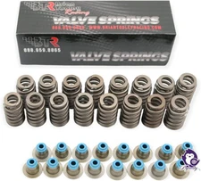 Brian Tooley BTR .560'' Lift LS6 Beehive Valve Springs and Hat Seals 4.8 5.3... 