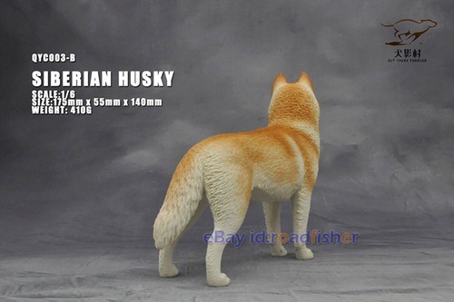 OUT THERE FOREVER 1/6 Modelo Husky Siberiano Animal Perro Coleccionista Decoración Pintado - Imagen 18 de 47