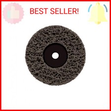 Wagner Spraytech 0513041 Paint Eater 4-1/2" Replacement Disc, Rotating Palm Sand